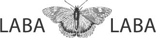 Laba Laba