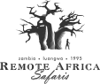 Remote Africa
