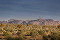 Sundowner Walk gallery image 1