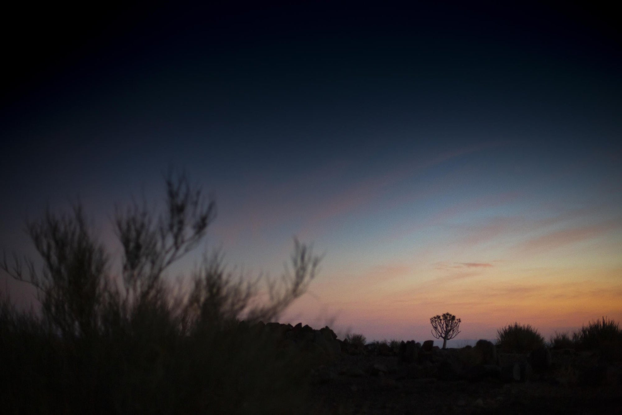 Sundowner Walk gallery image 4