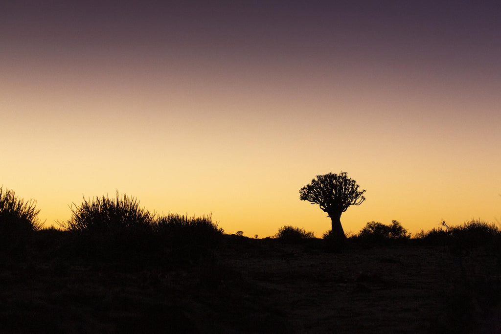 Sundowner Walk gallery image 3