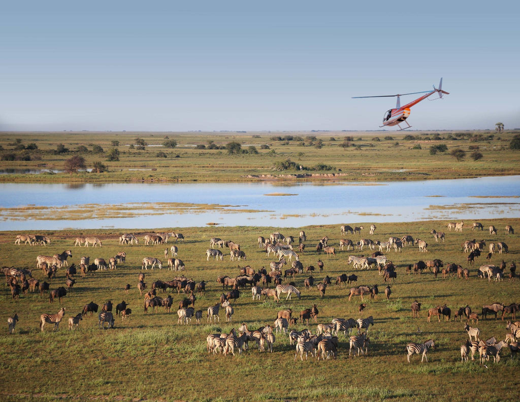 Scenic Helicopter Flights (additional cost) gallery image 2
