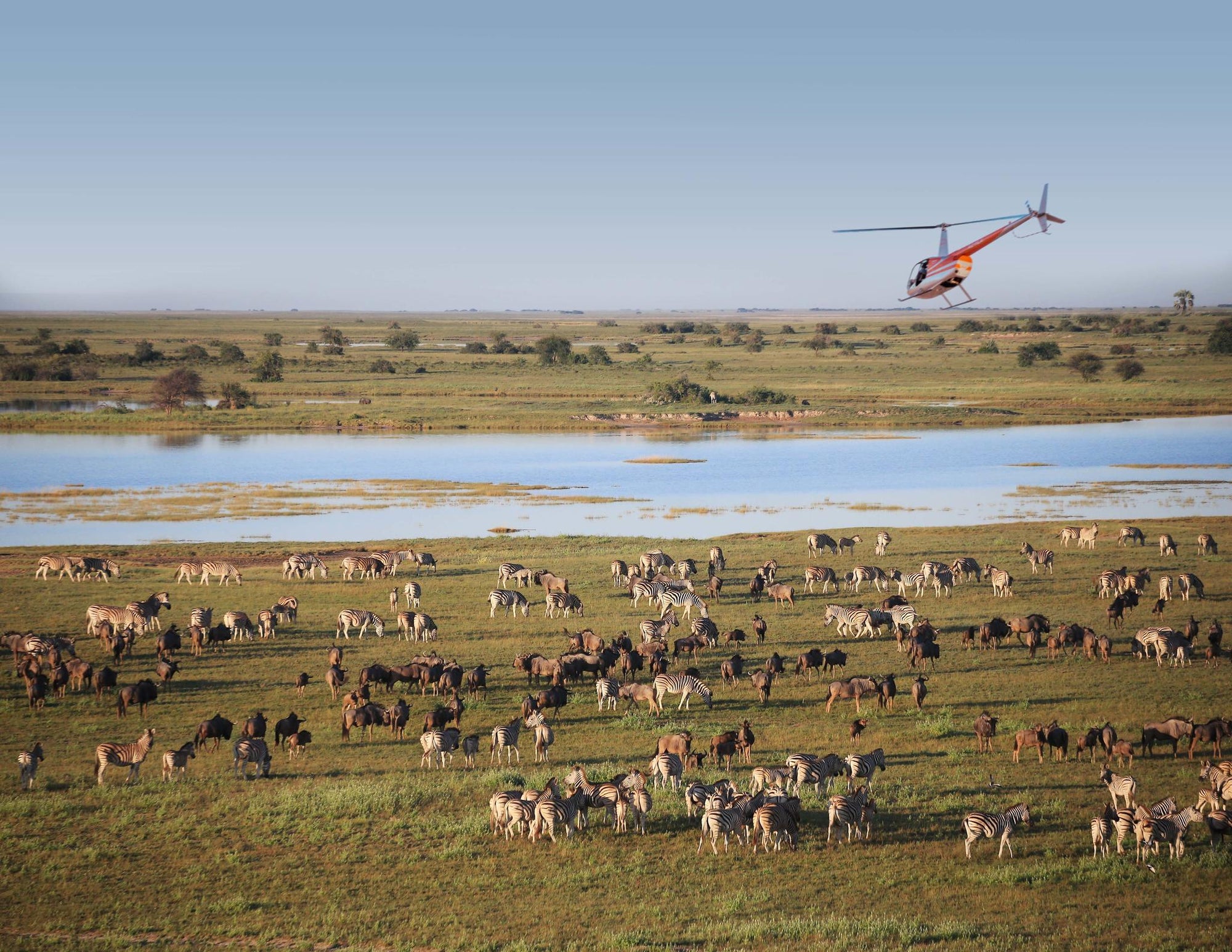 Scenic Helicopter Flights (additional cost) gallery image 2