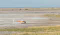 Scenic Helicopter Flights (additional cost) gallery image 1