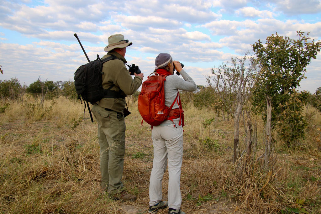 Guided Walks (seasonal activity) gallery image 4