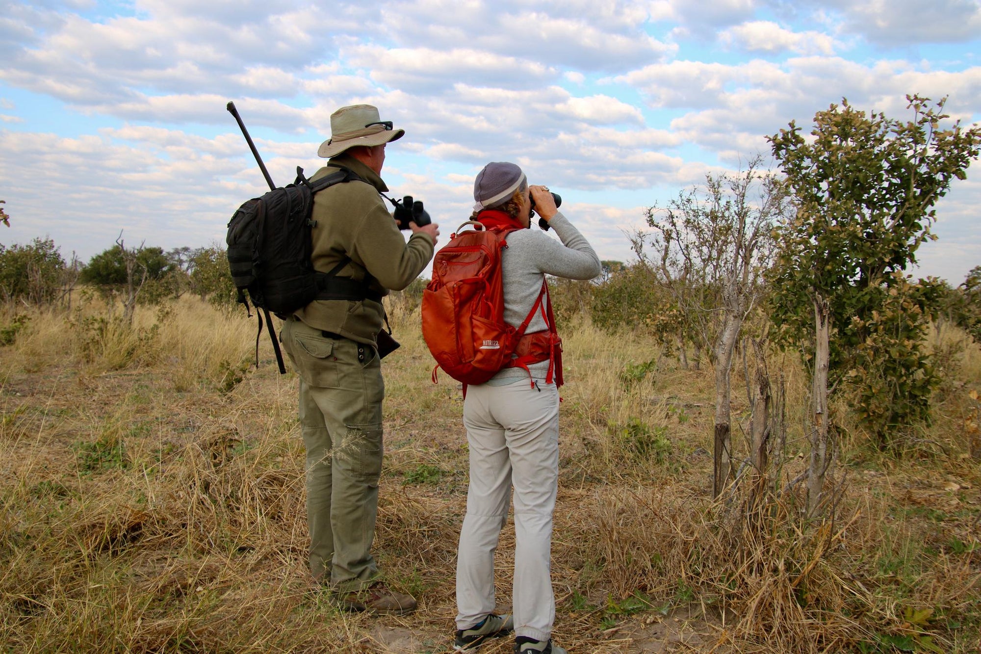 Guided Walks (seasonal activity) gallery image 4