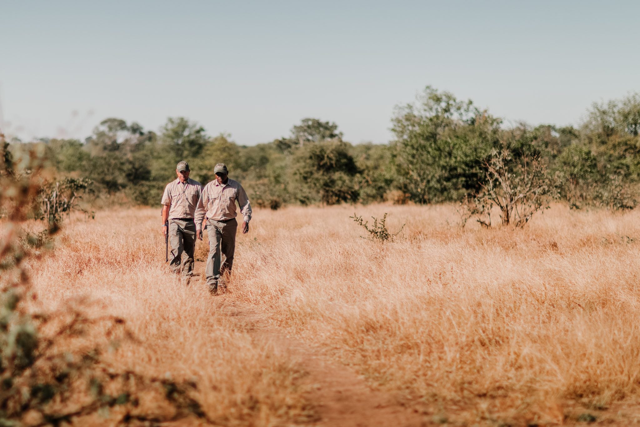 BUSH WALKS