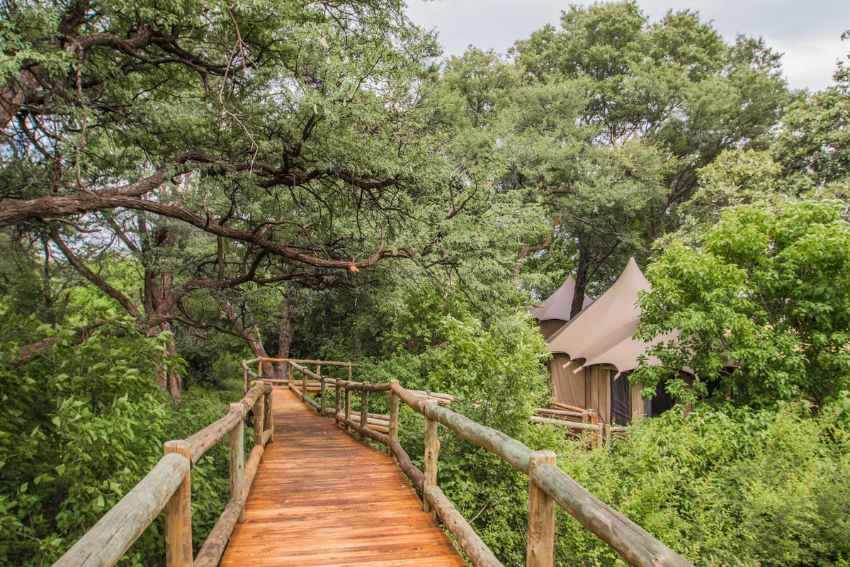 Nambwa Luxury Tented Suite gallery image 2