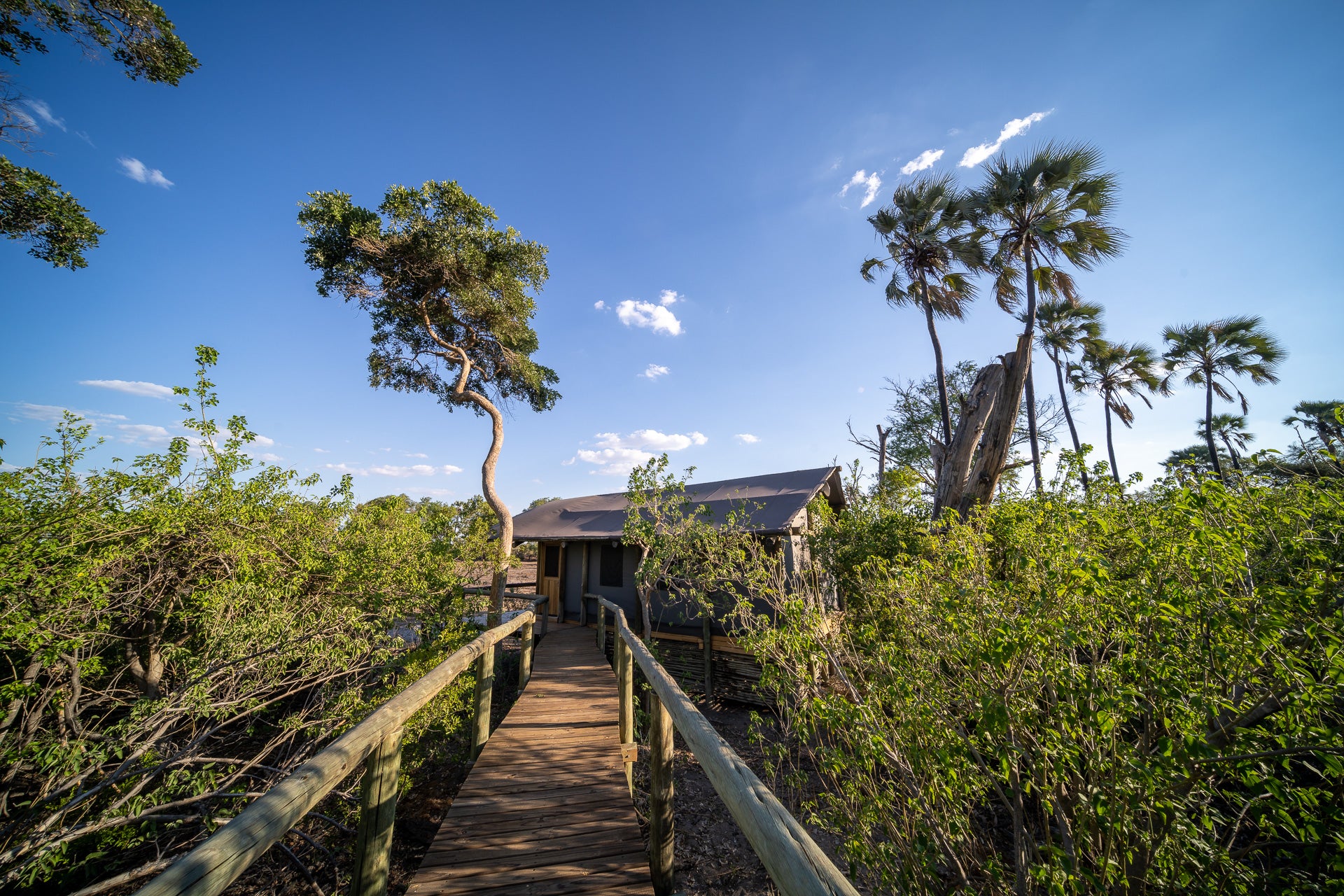 Seba Camp
