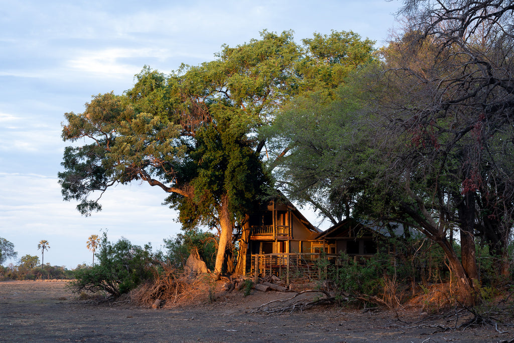 Seba Camp