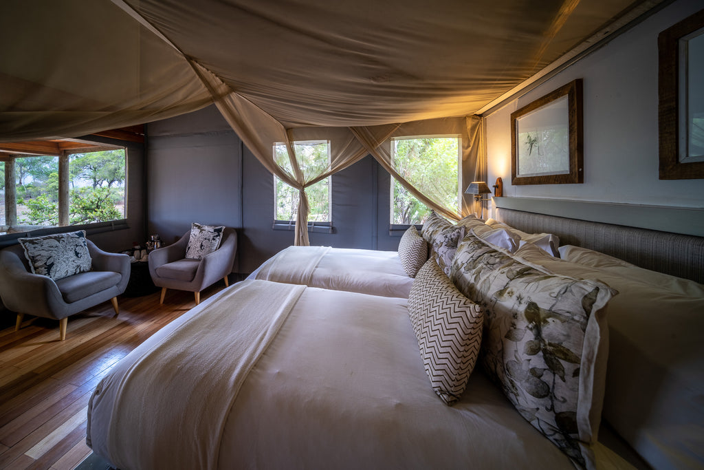 Seba Camp