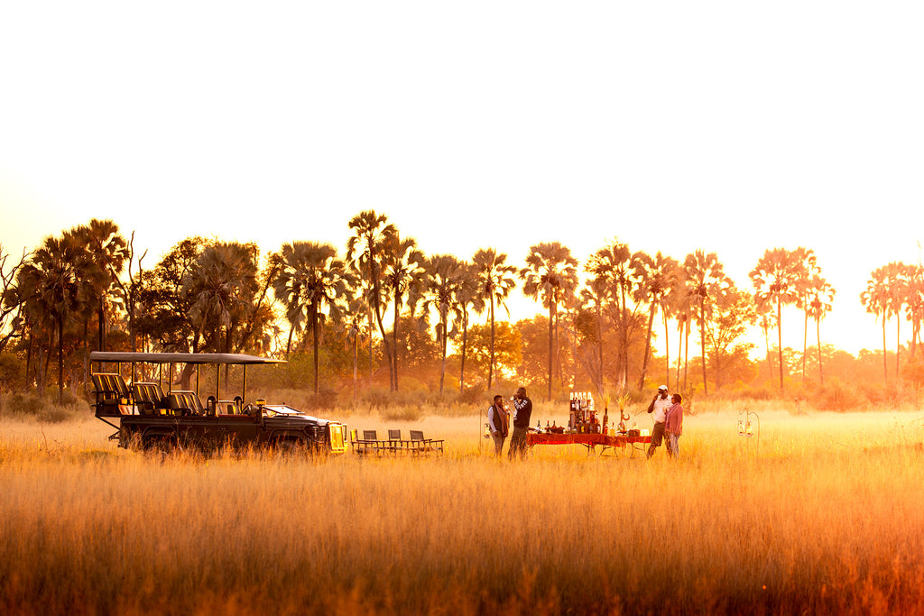 Wilderness Chitabe – Night Drives