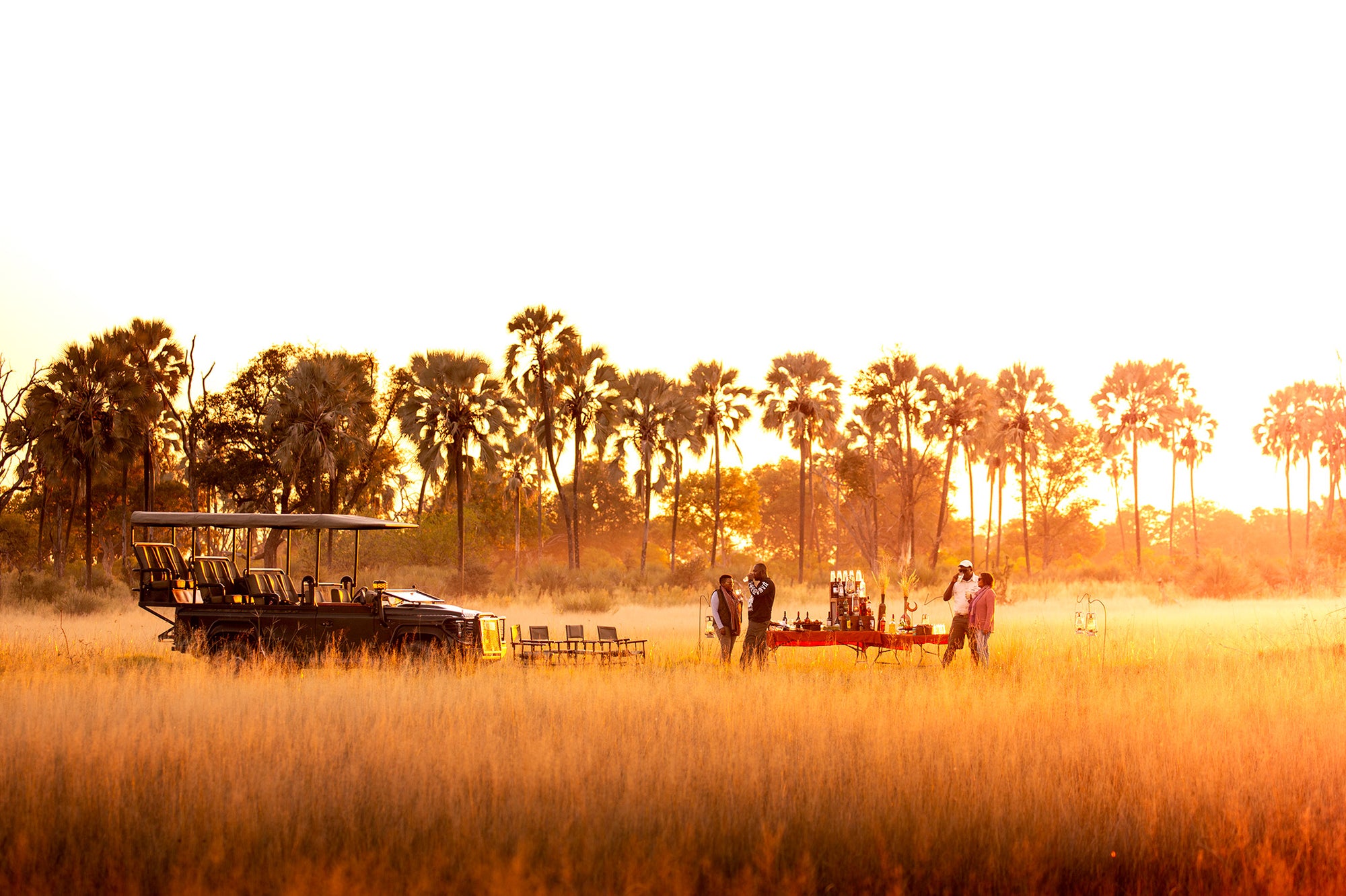 Wilderness Chitabe – Night Drives