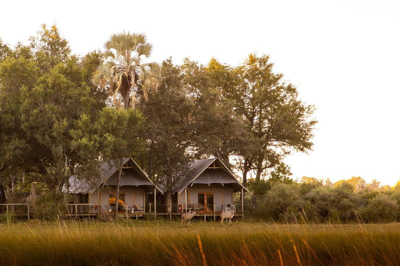 Family Accommodation