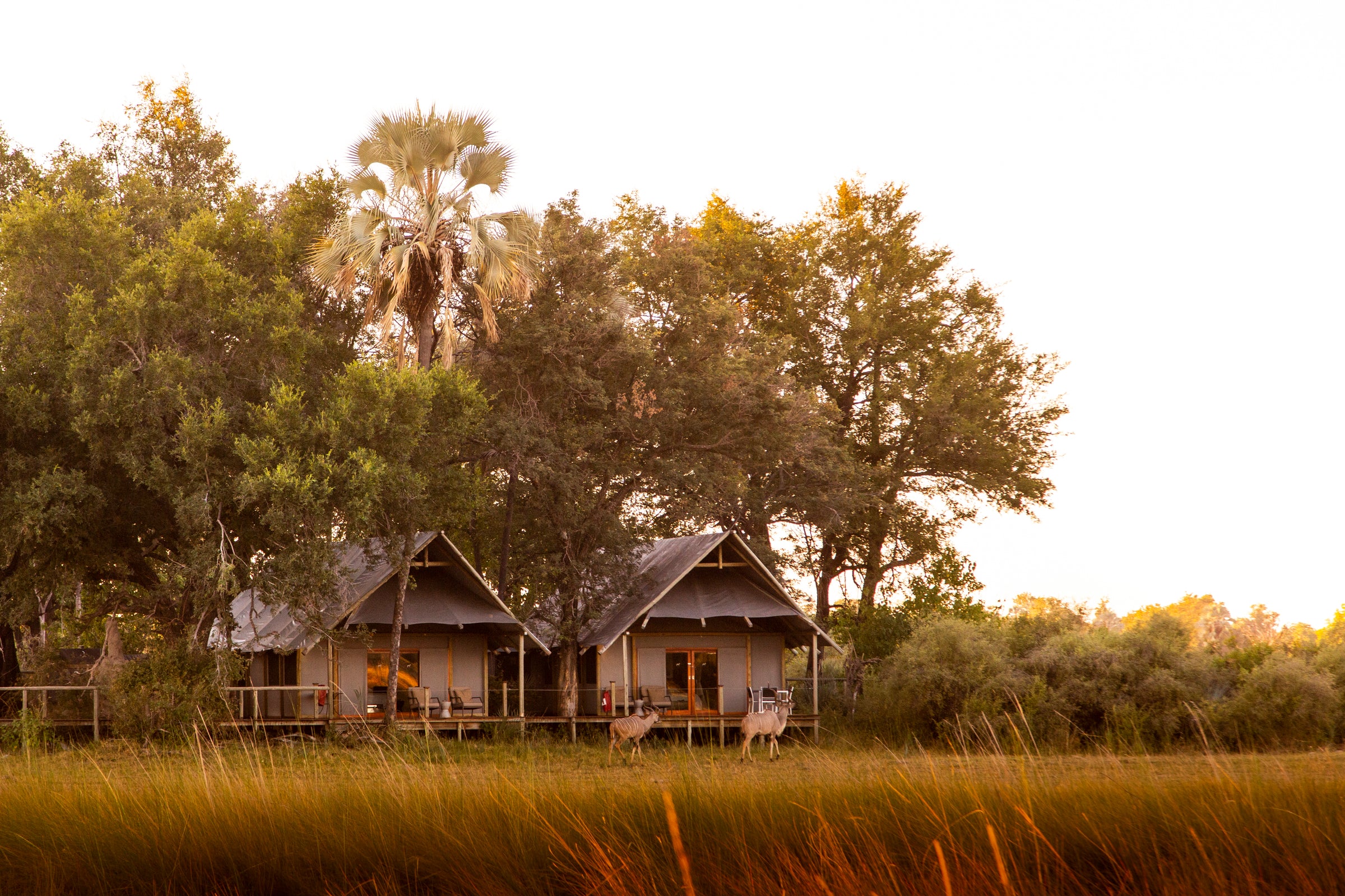 Family Accommodation