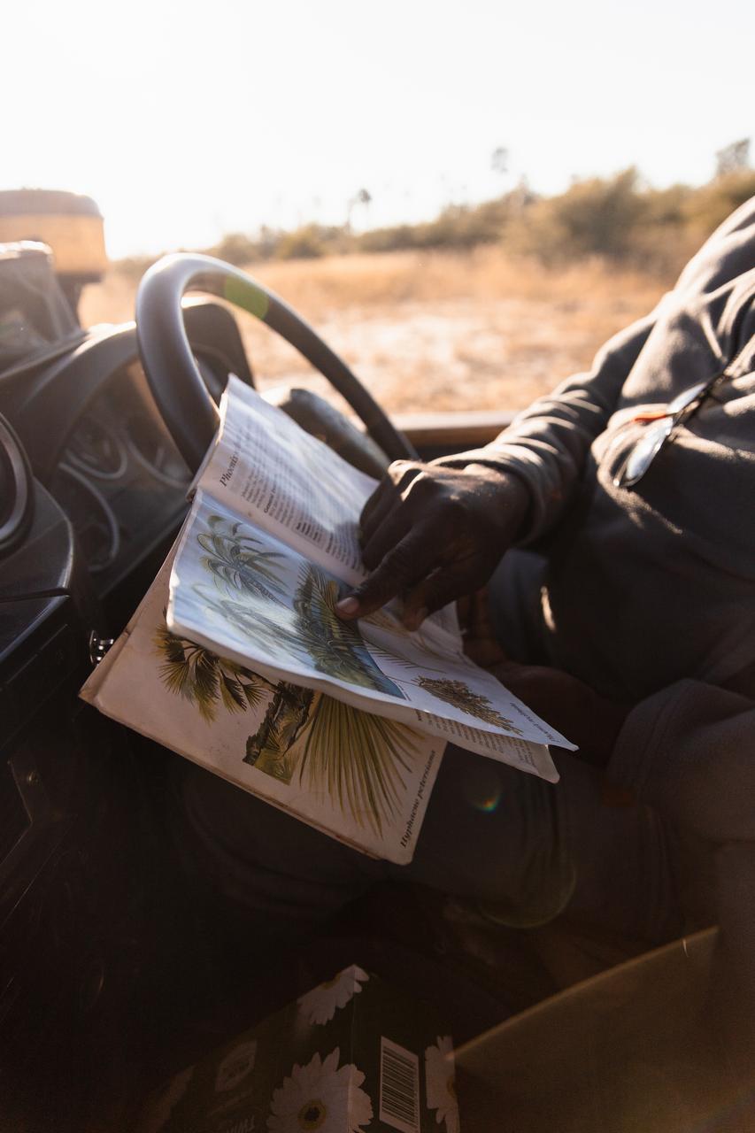 Wilderness Chitabe Lediba – Birding
