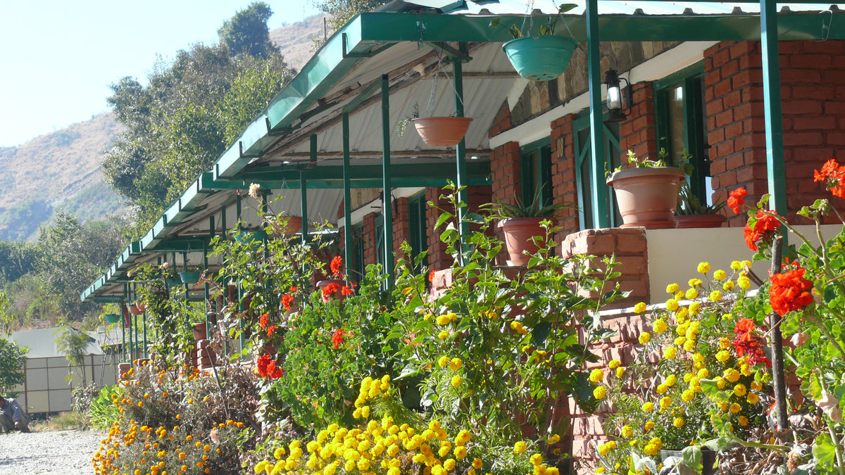Himalayan Eco Lodge Viraatkhai