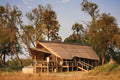 Deluxe Tented Room (s)