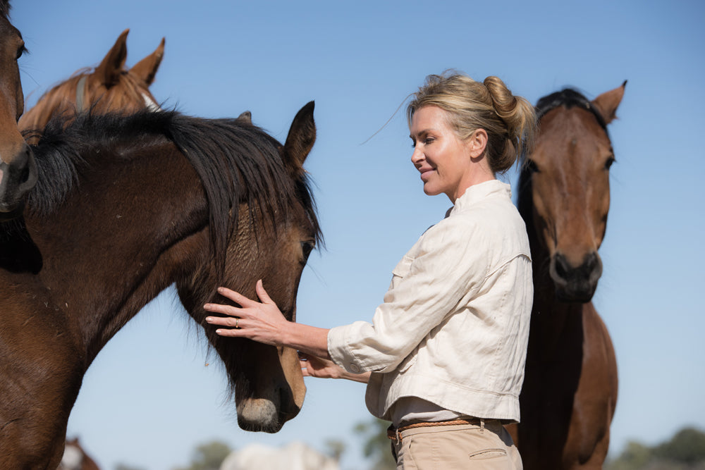 Horseback/Helicopter Safari