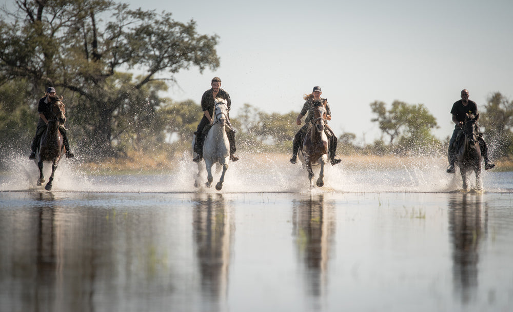 Horseback/Helicopter Safari