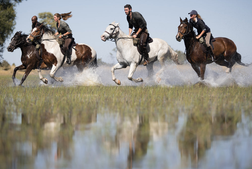 Horseback/Helicopter Safari