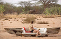 Waterhole watching