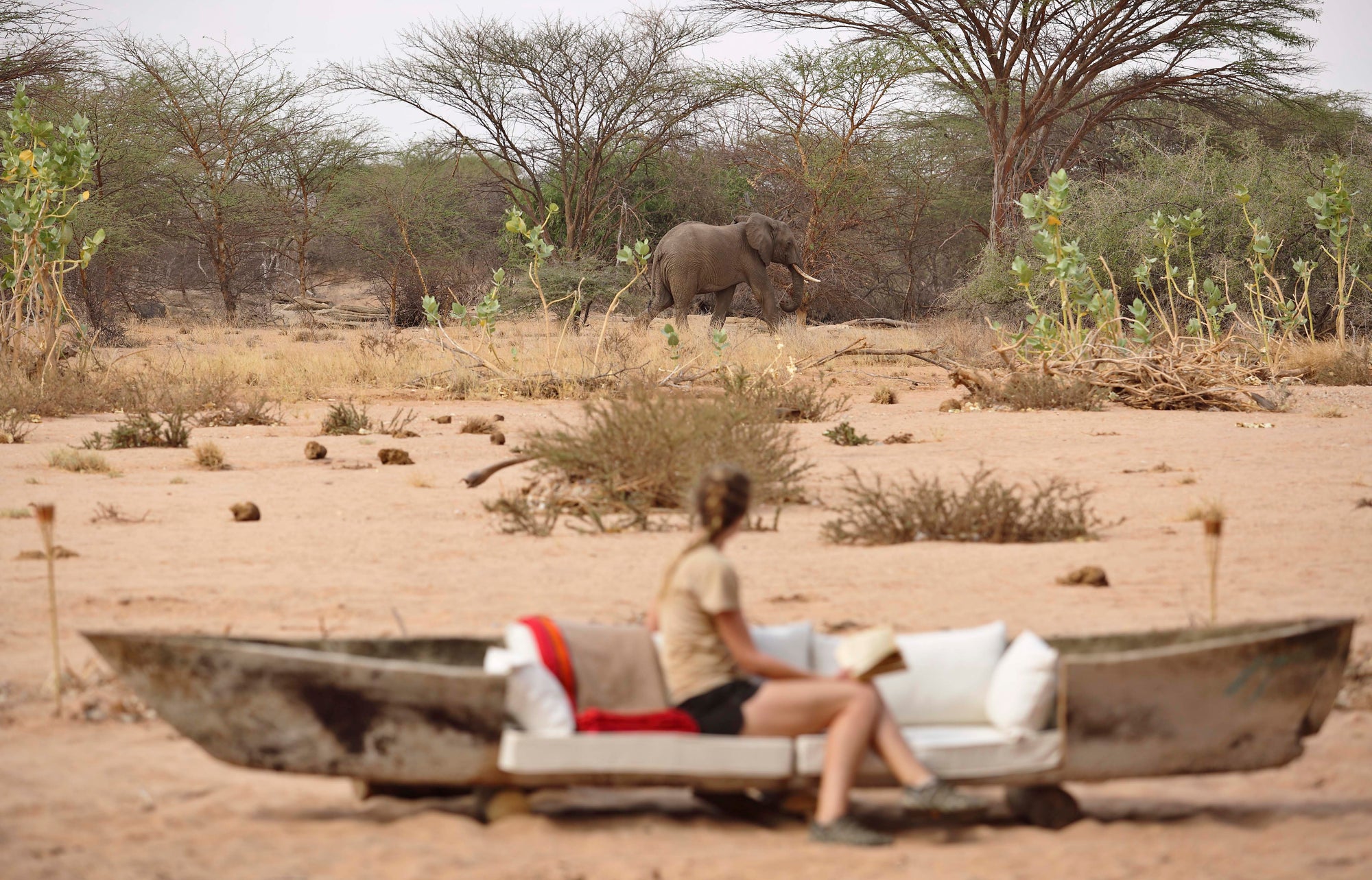 Waterhole watching