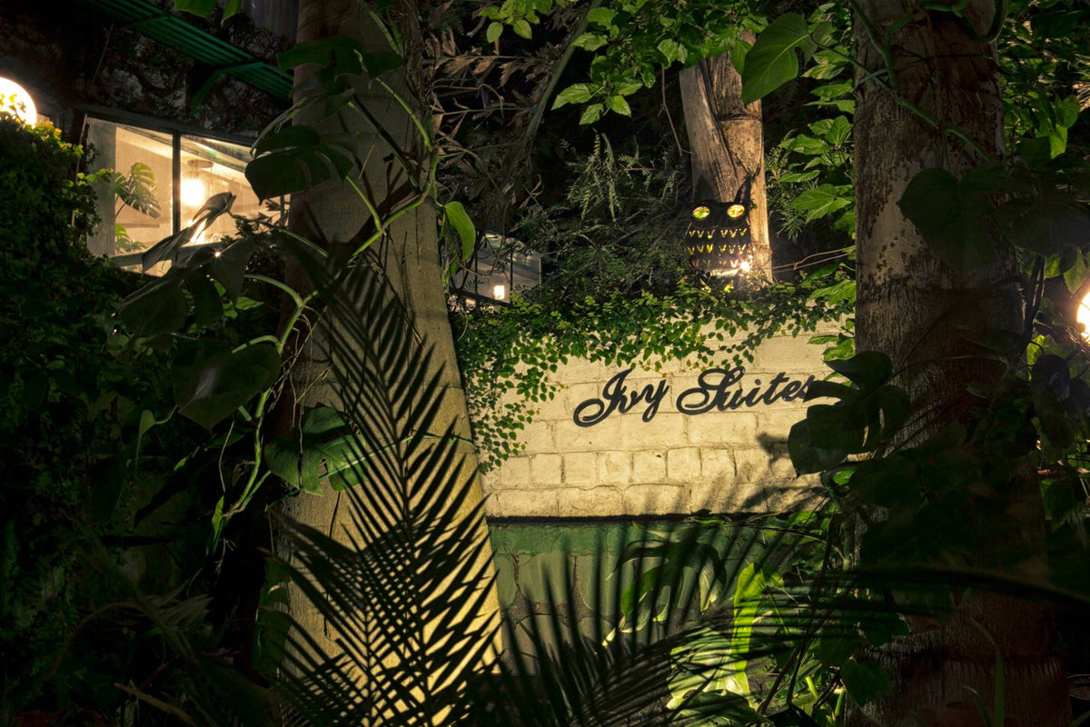 Ivy Suites