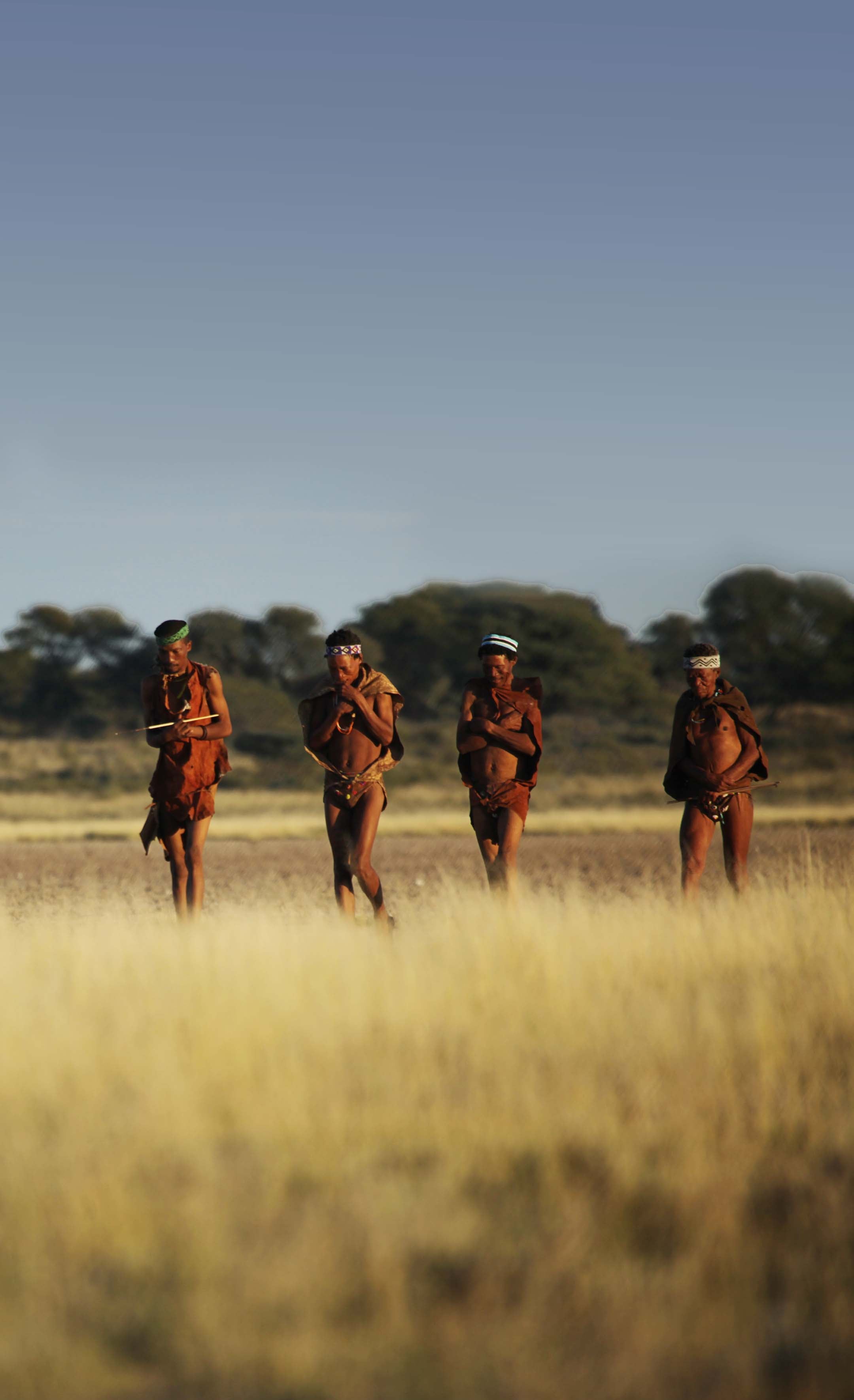 Bushmen Initiation Hunt
