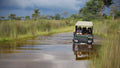 Game Drives (Included)
