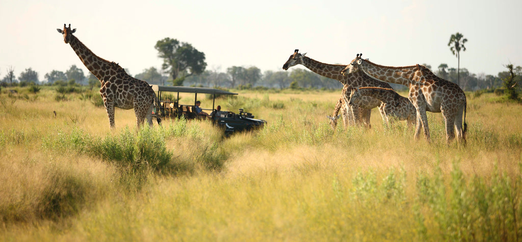 andBeyond Nxabega Okavango Tented Camp