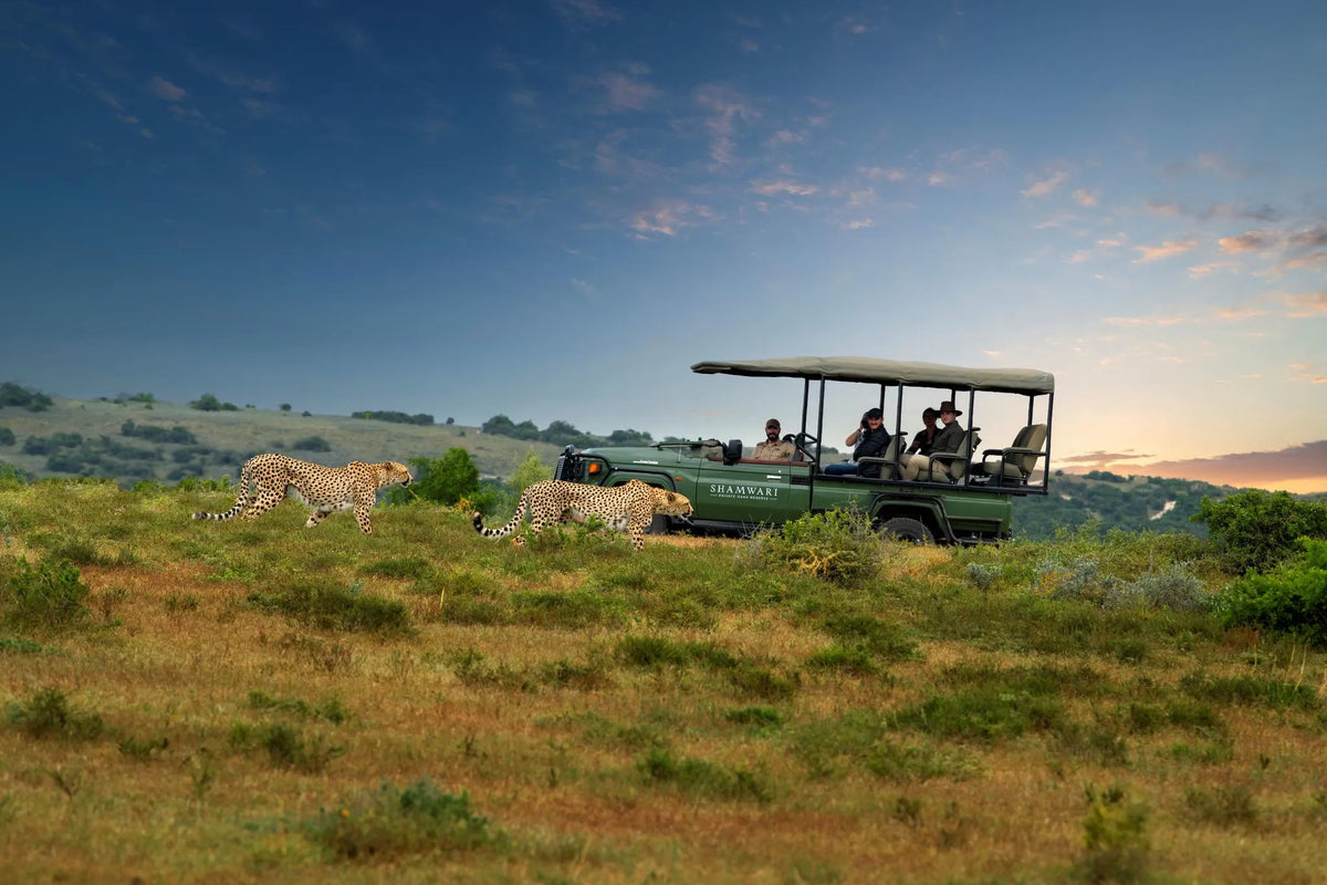 Game Drive at Sarili at Shamwari Private Game Reserve, Shamwari Private Game Reserve, South Africa.