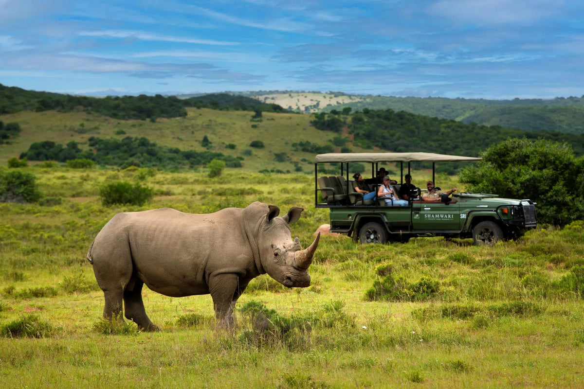 Sarili at Shamwari Private Game Reserve, Shamwari Private Game Reserve, South Africa gallery image 31.