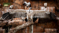 Featured image.