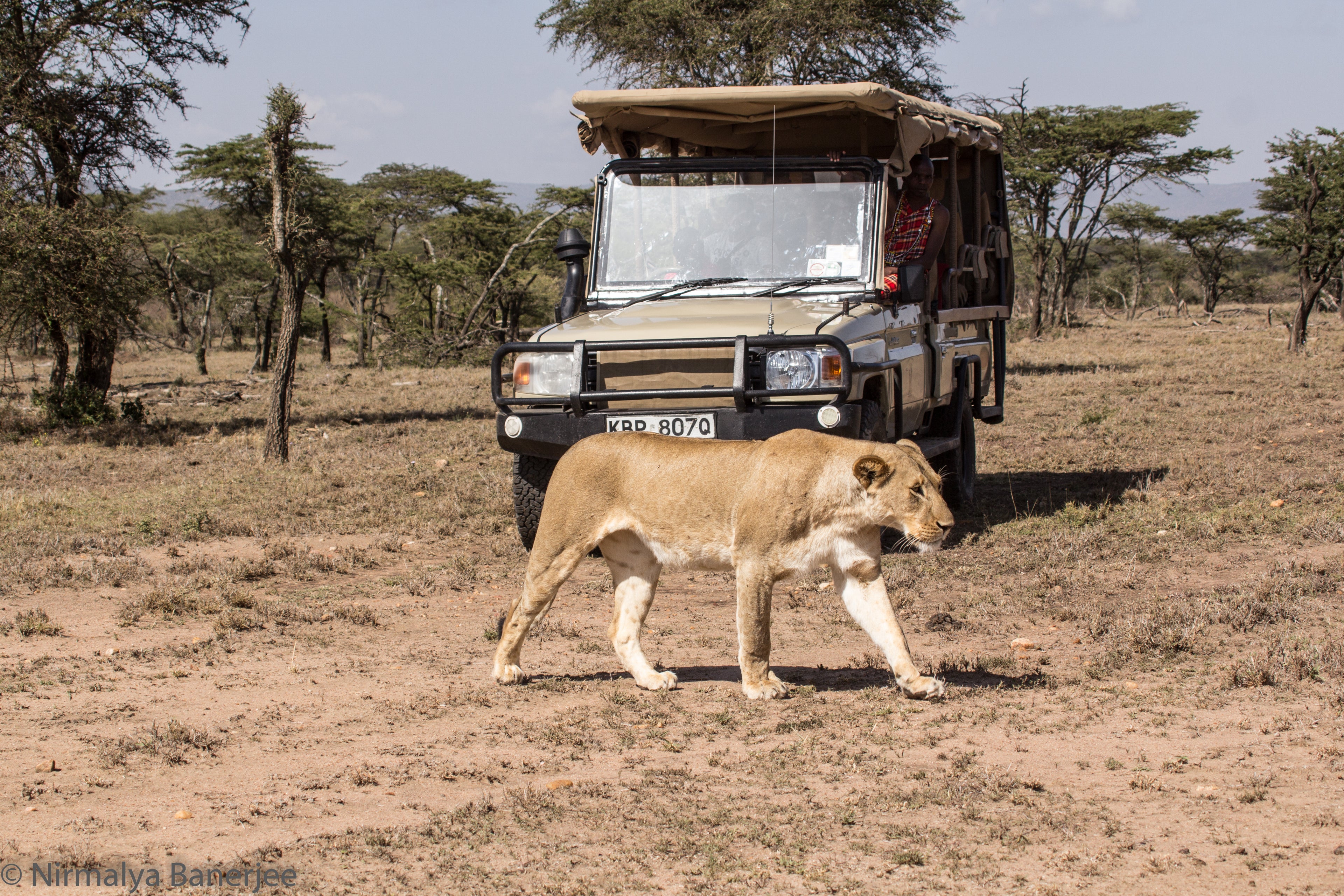 Ol Kinyei Conservancy - Maasai Mara
