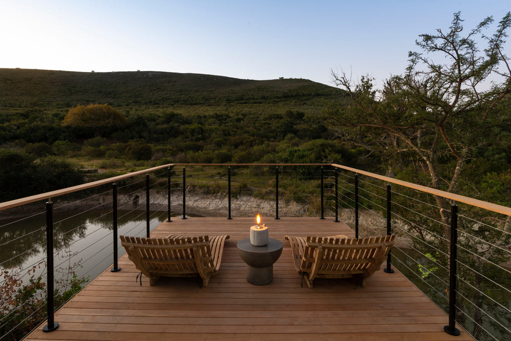Bayethe on Shamwari Private Game Reserve