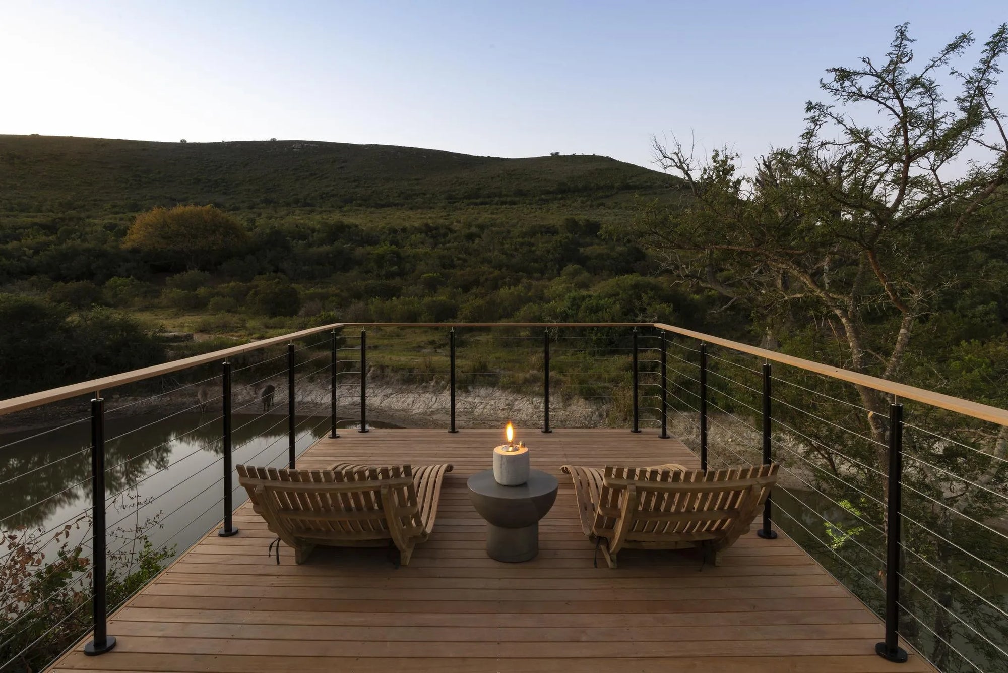 Bayethe on Shamwari Private Game Reserve at Bayethe at Shamwari Private Game Reserve, Shamwari Private Game Reserve, South...