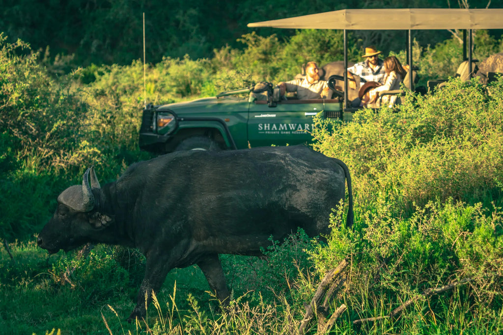 Shamwari Private Game Reserve at Bayethe at Shamwari Private Game Reserve, Shamwari Private Game Reserve, South Africa.