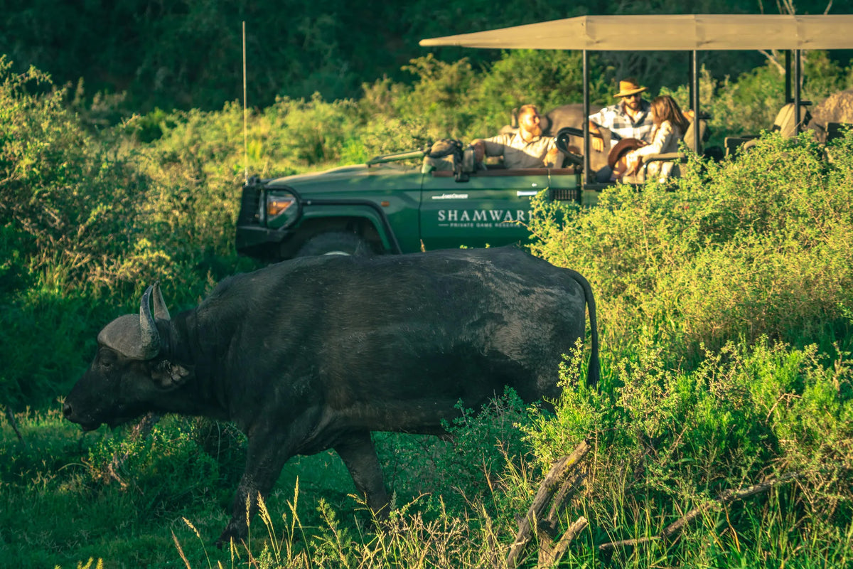 Shamwari Private Game Reserve at Bayethe at Shamwari Private Game Reserve, Shamwari Private Game Reserve, South Africa.