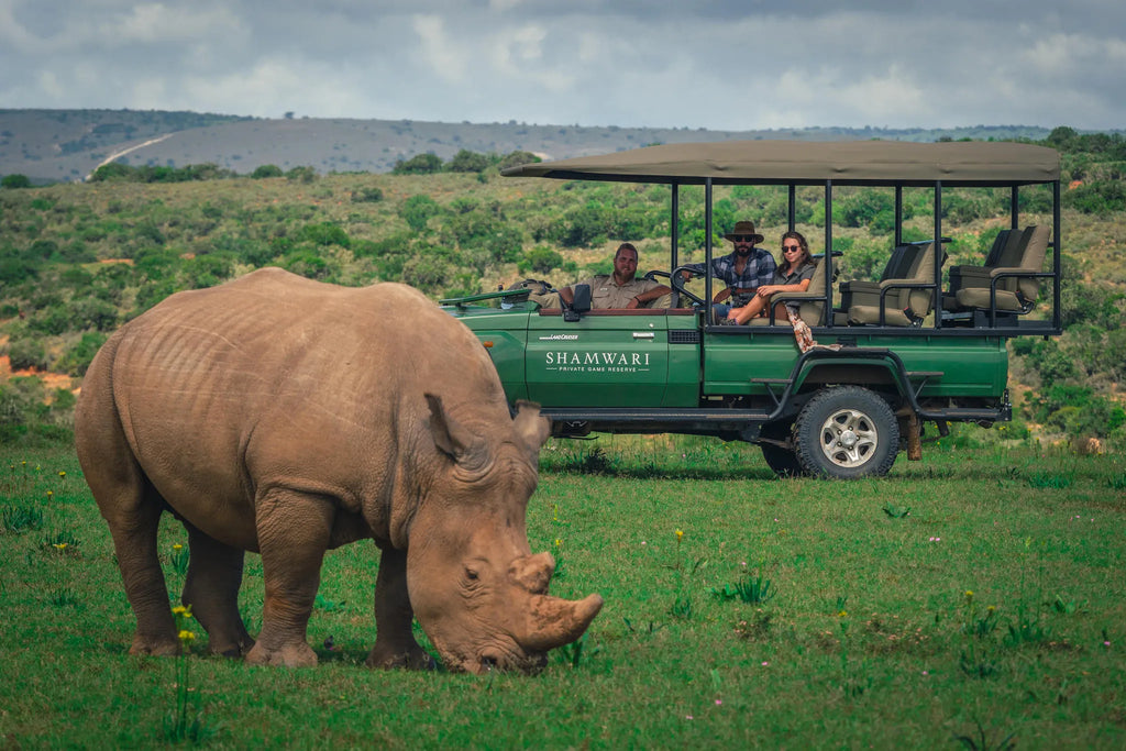 Shamwari Private Game Reserve at Bayethe at Shamwari Private Game Reserve, Shamwari Private Game Reserve, South Africa.