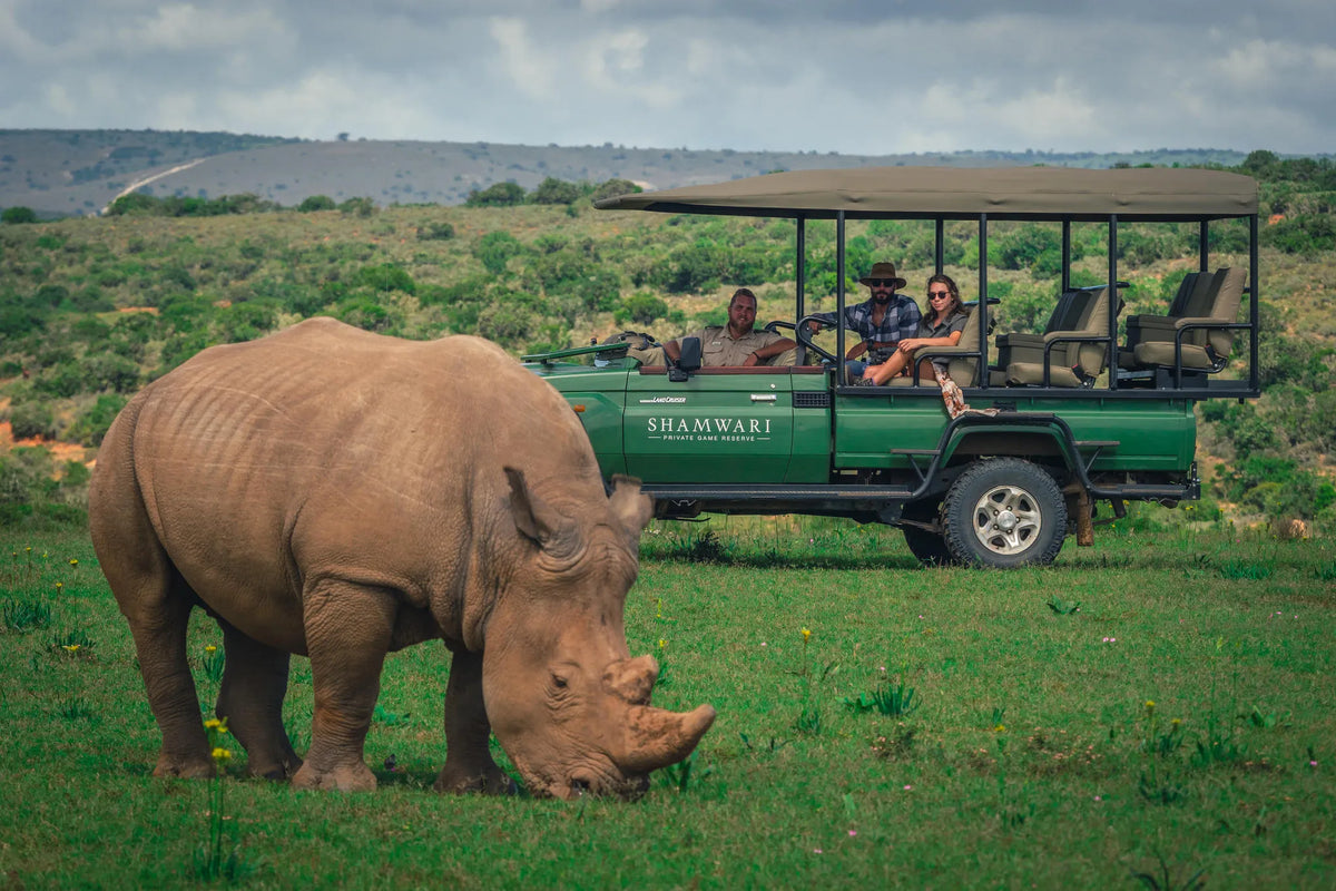 Shamwari Private Game Reserve at Bayethe at Shamwari Private Game Reserve, Shamwari Private Game Reserve, South Africa.