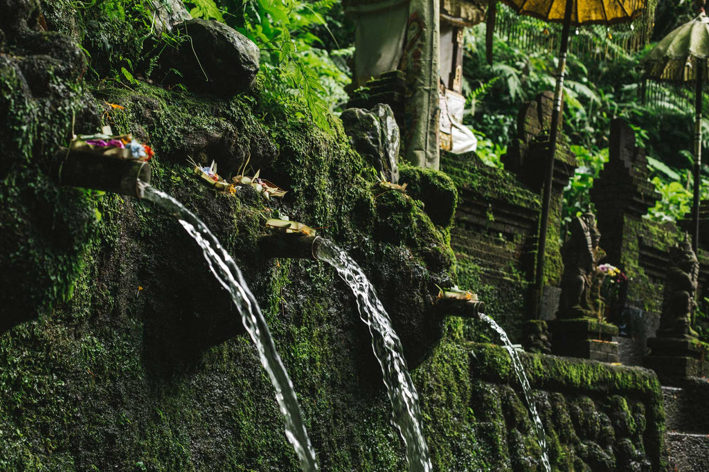 Spring Cleansing at Sebatu