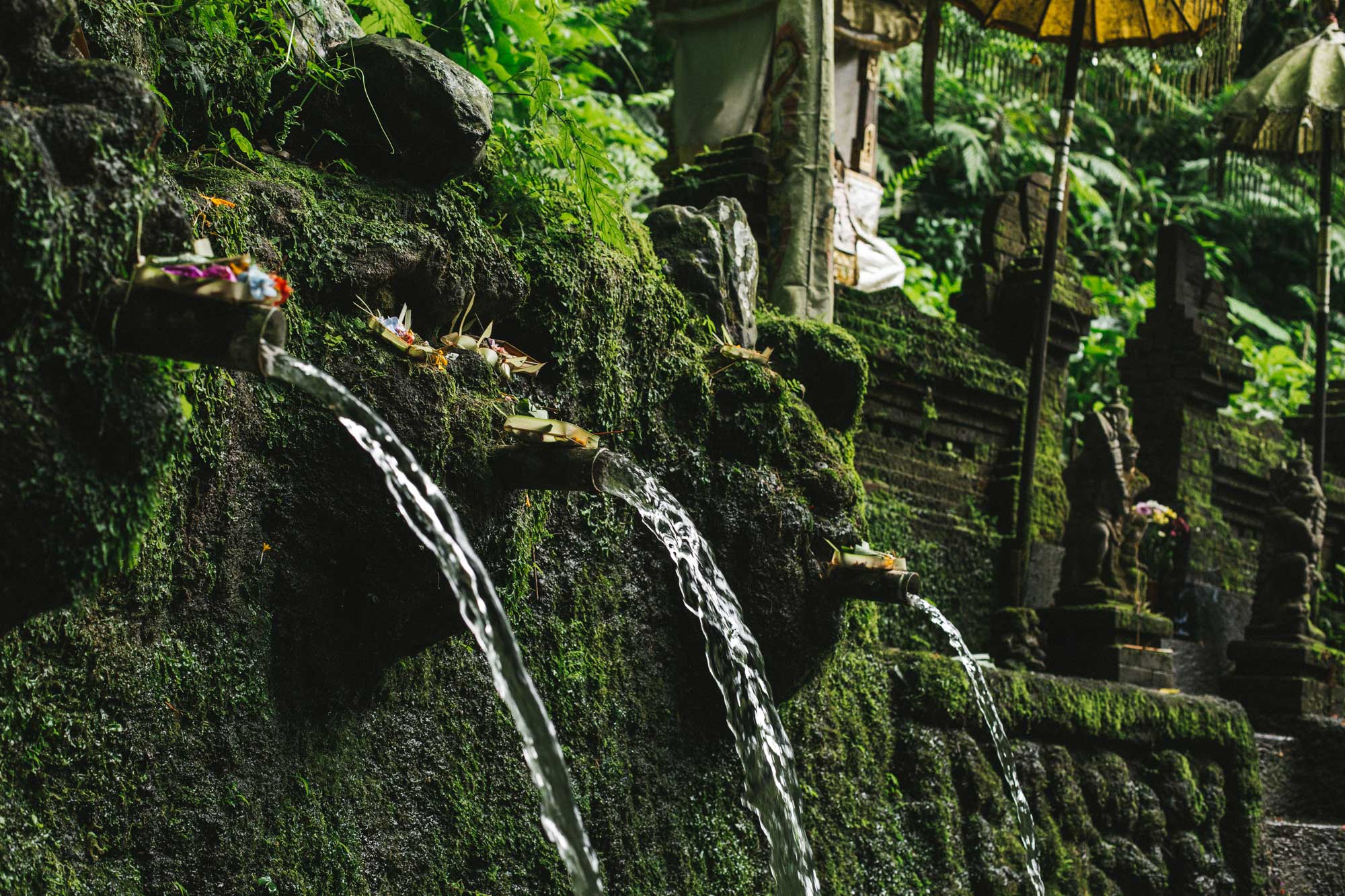 Spring Cleansing at Sebatu