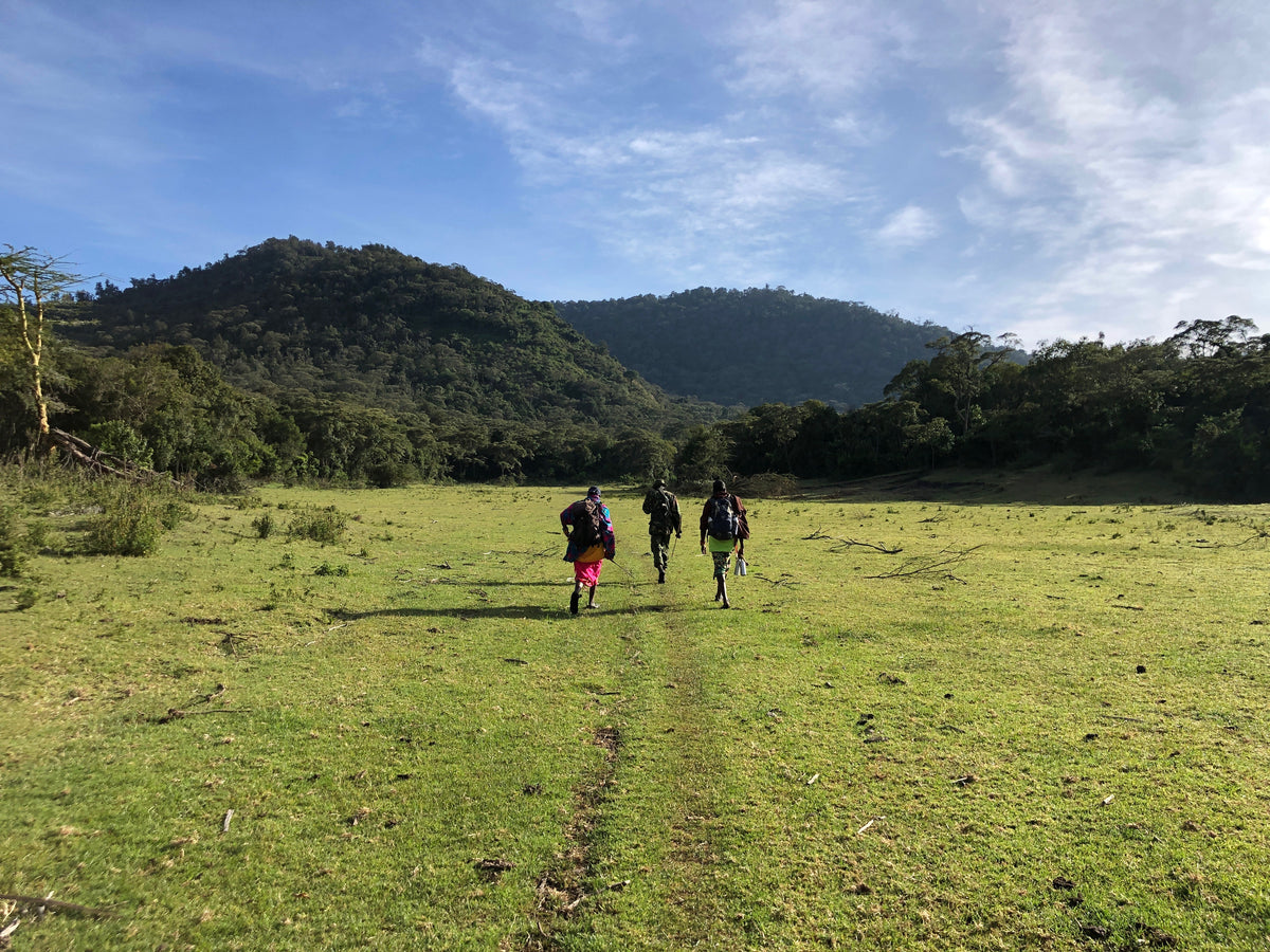 Karisia Rapa Camp