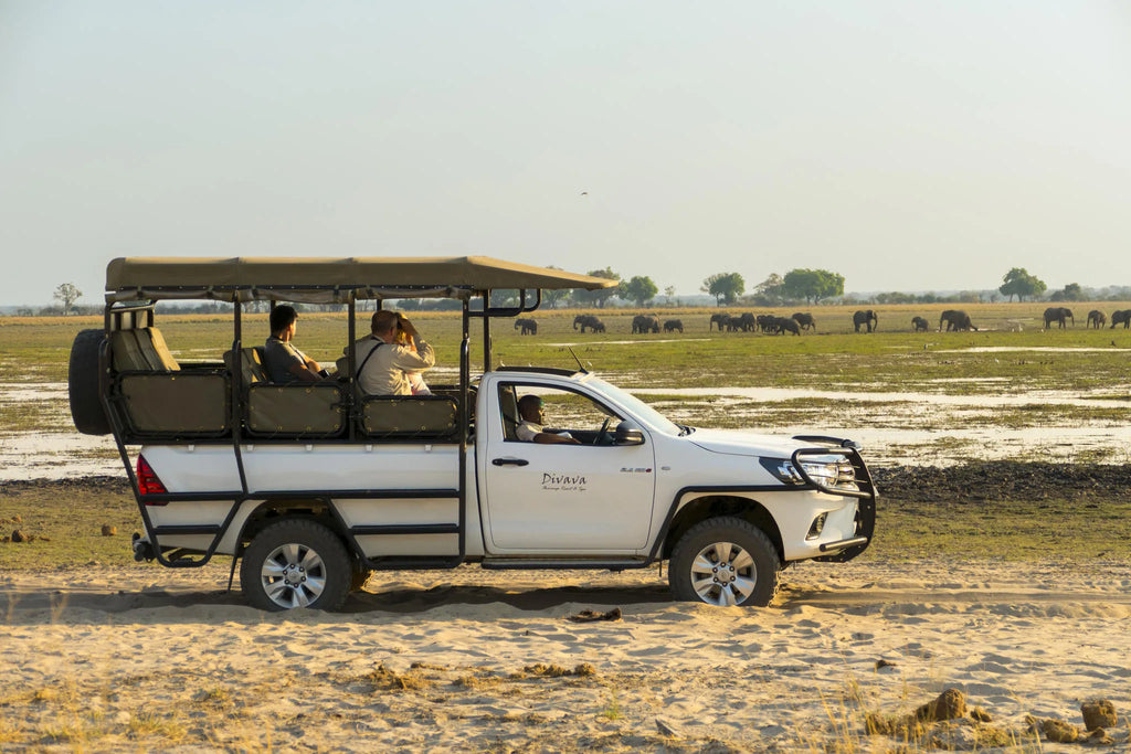 Game Drive at Divava Okavango Resort & Spa, Divundu, Namibia.