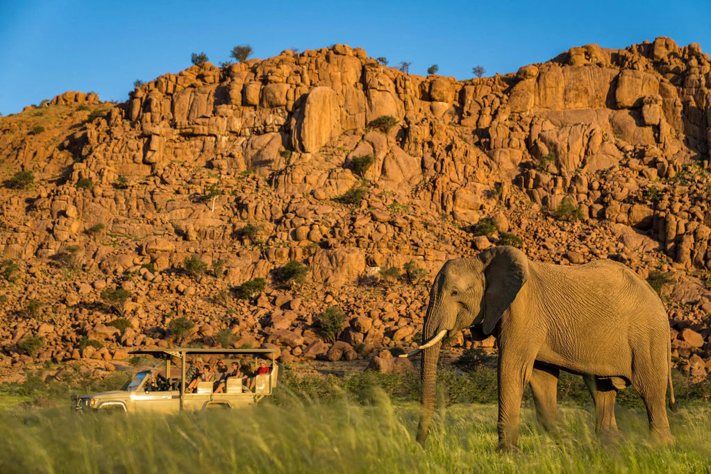 Camp Kipwe's Nature Drive in Green Season at Camp Kipwe, Twyfelfontein, Namibia.