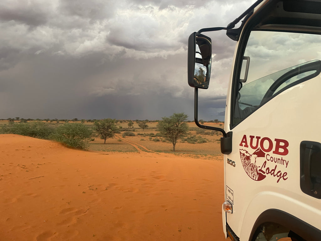 Game Drive - Activity
