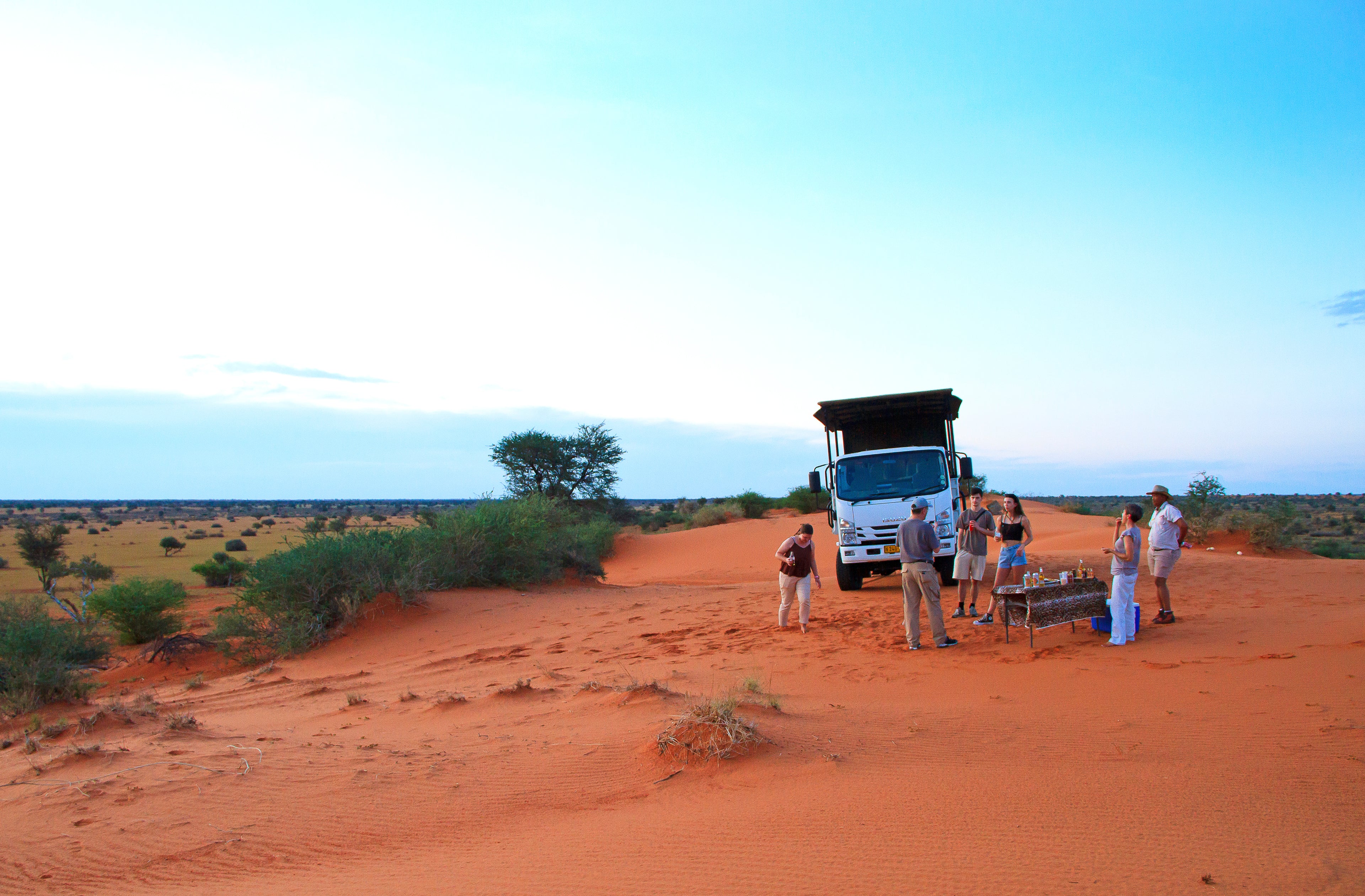 Game Drive - Activity
