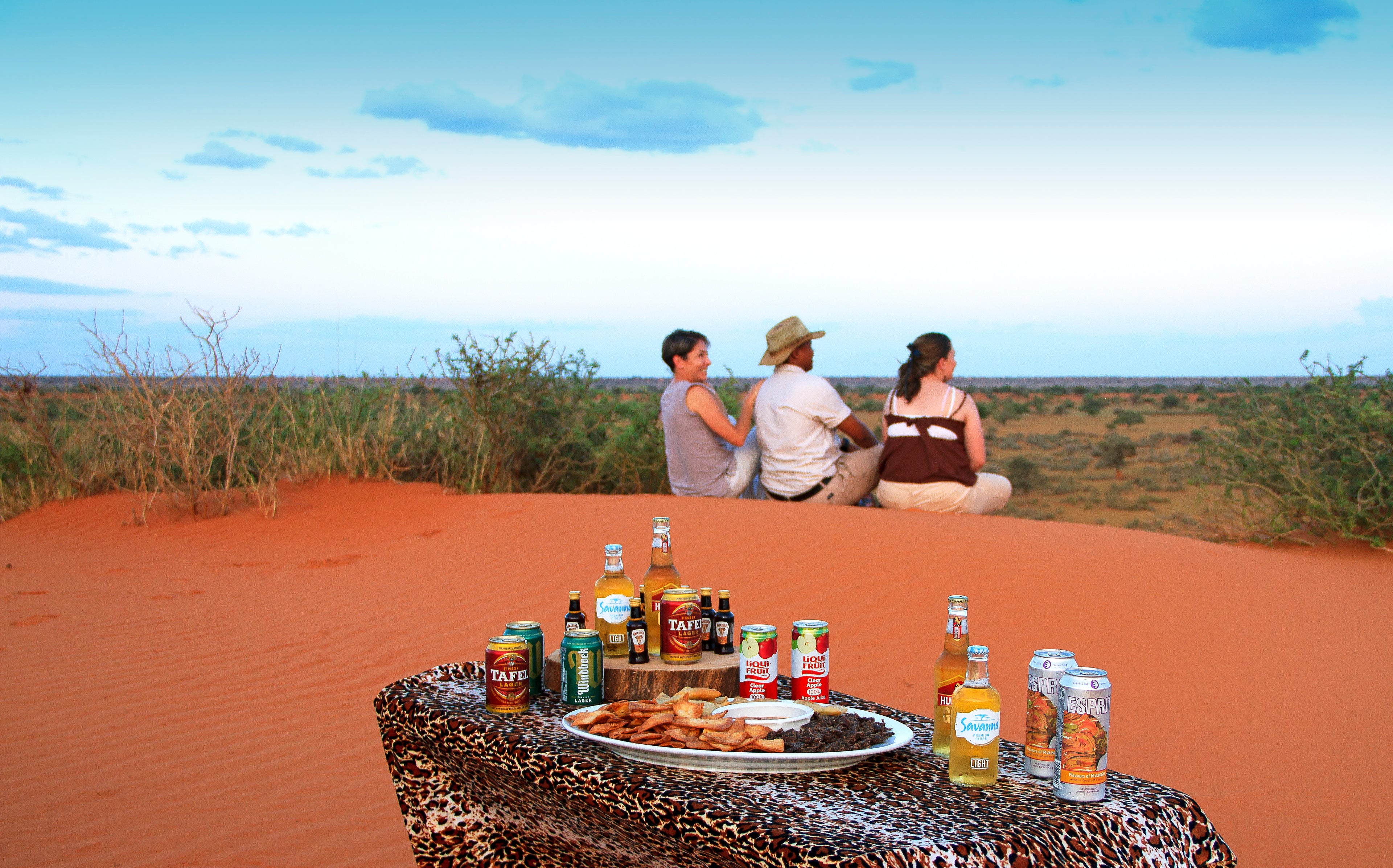 Game Drive - Activity