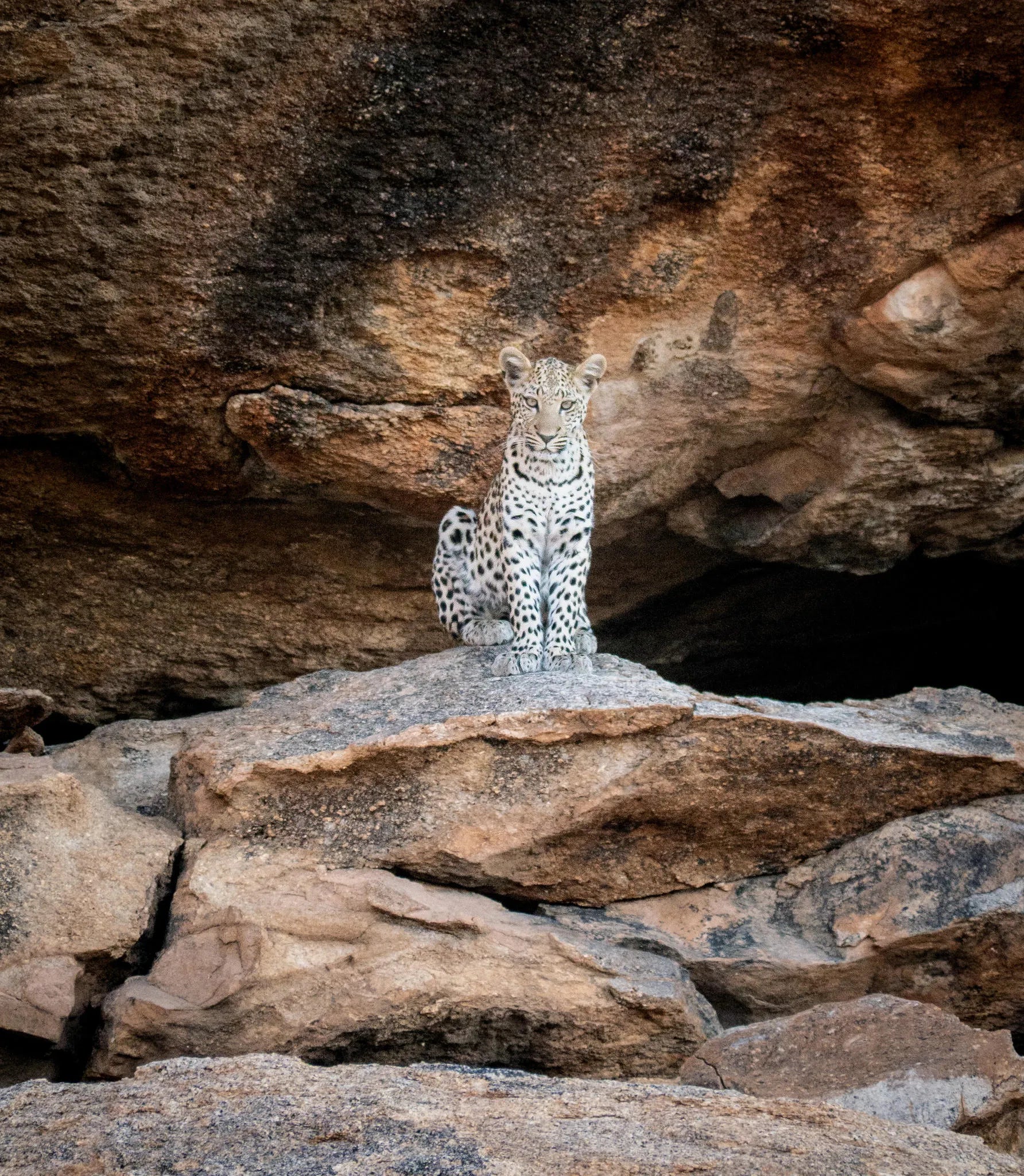 Photogenic at Ai Aiba Rock Painting Lodge, Erongo Mountains, Namibia.